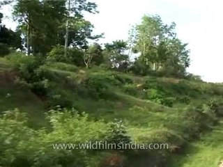 Train journey New Delhi to Puri- Purushottam Express