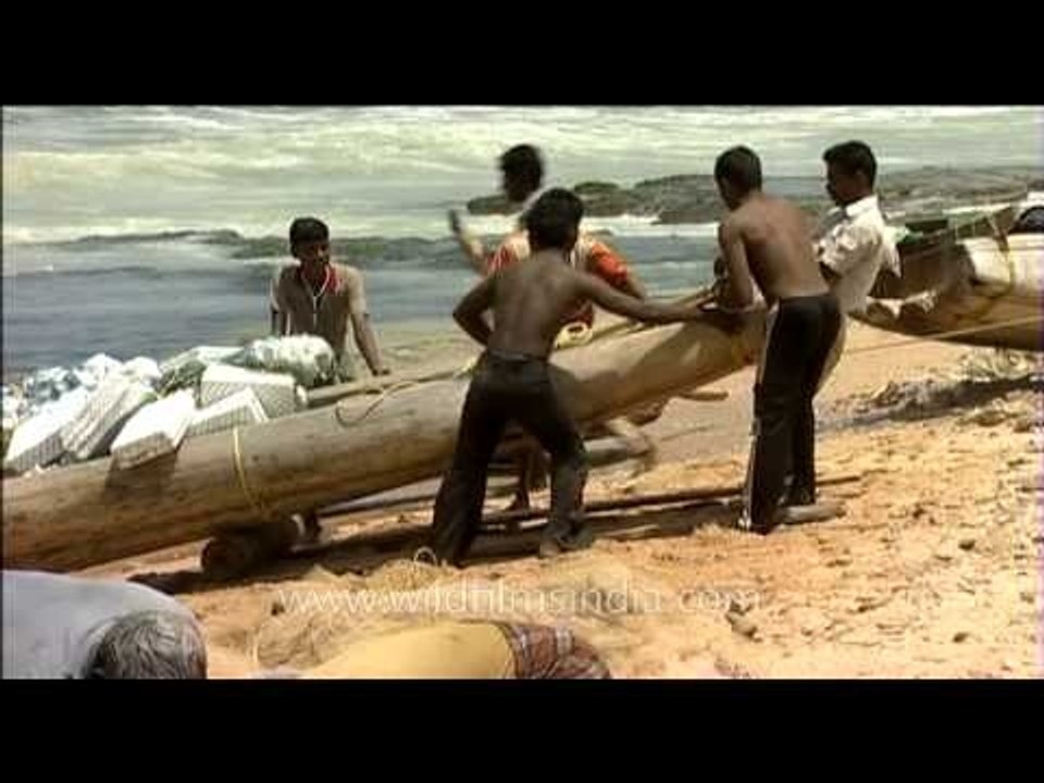 Heave ho! Madras fishermen hoist their boat up...