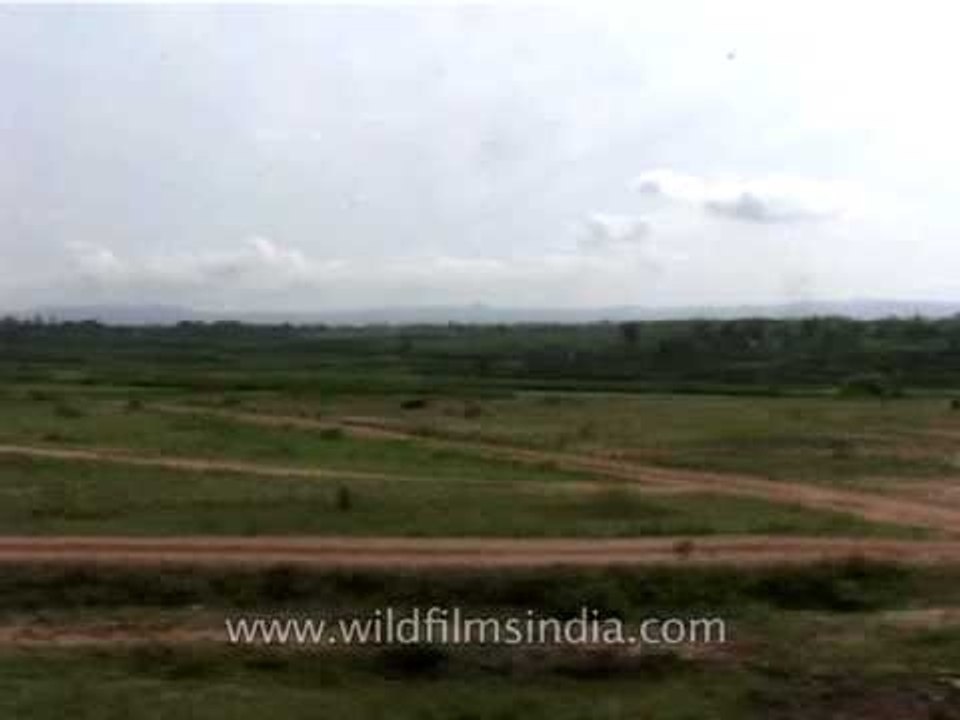View of green fields while train journey
