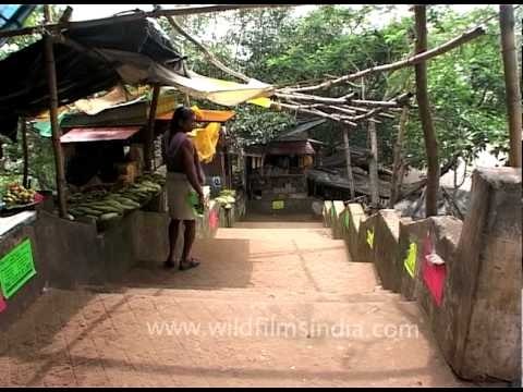 Street vendors on the way to Shanti Stupa at Dhauligiri, Odisha