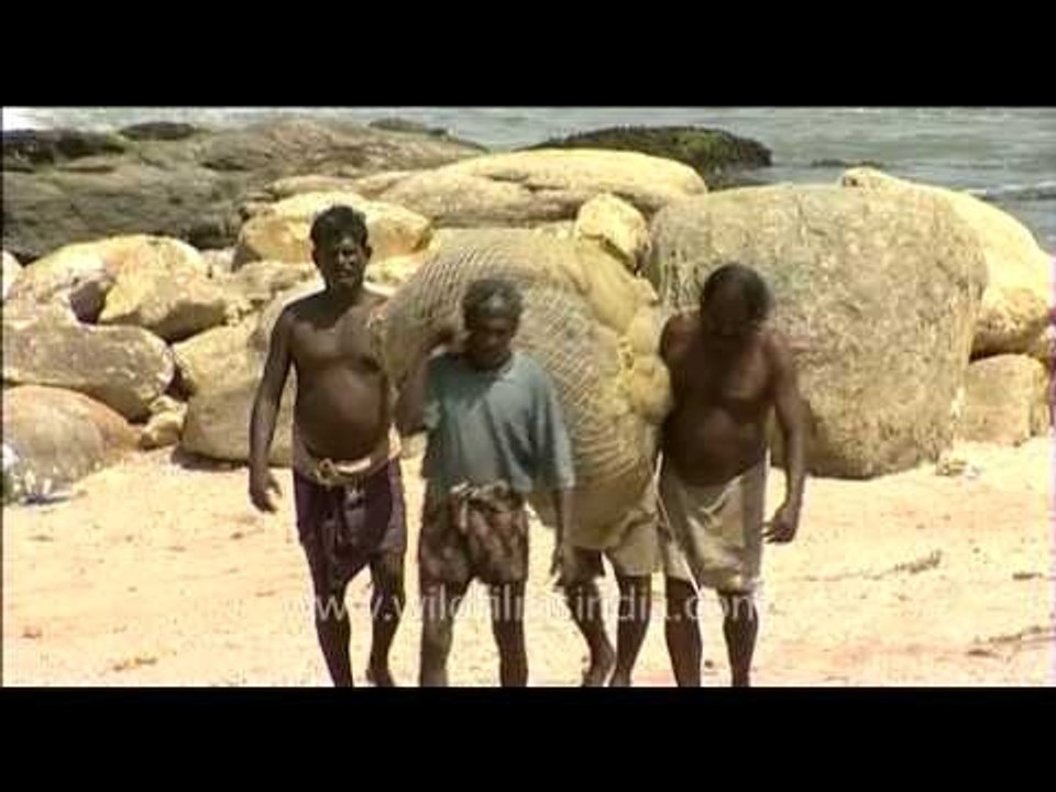 Fishermen carrying bundle of fishing net on a pole in Kanyakumari