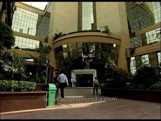 Information Technology sweat-shops or BPO's in India