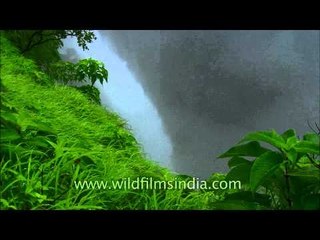 Cascading waters of Lingmala Falls in Mahabaleshwar
