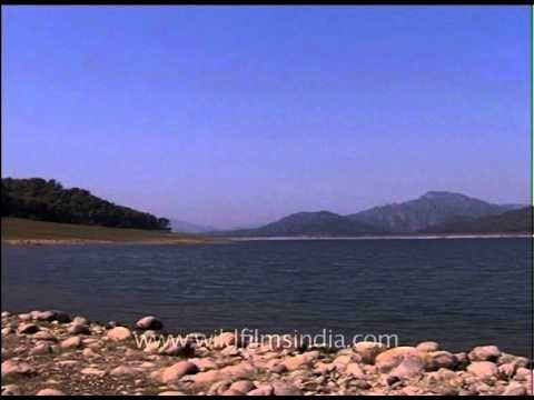 Corbett national Park, right on the banks of River Ramganga