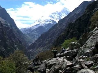 Interesting facet of rugged mountains of Nanda Devi