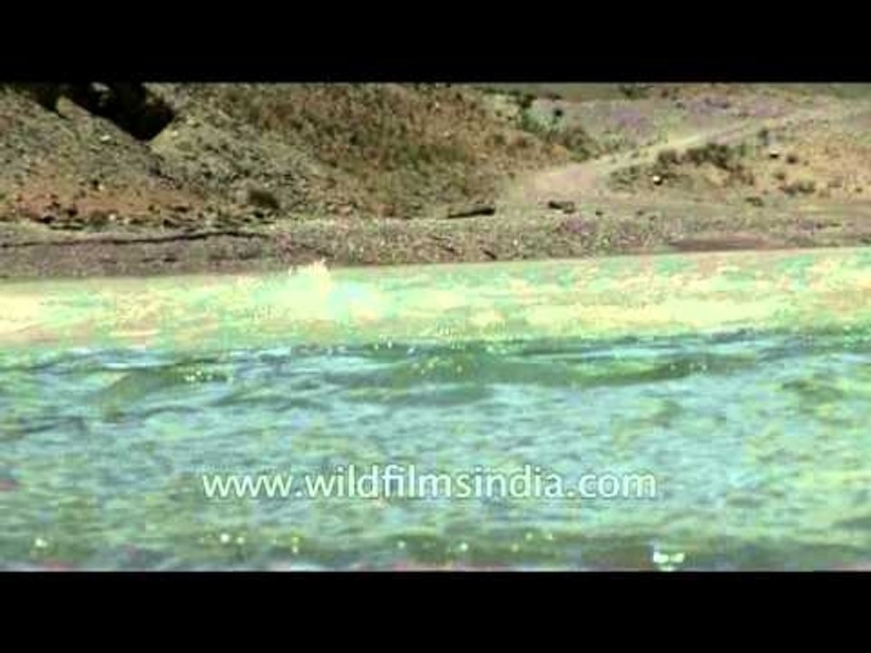 The Beautiful Confluence of the Indus and Zanskar rivers