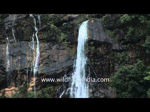 Tallest waterfall in India: Jog falls