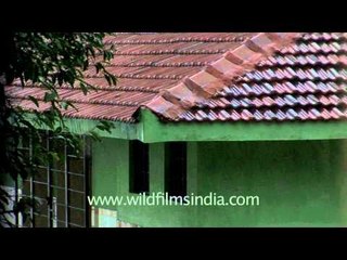 Raindrops keep falling on my head