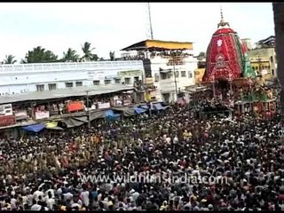 Ratha Jatra, the Festival of Chariots of Lord Jagannatha