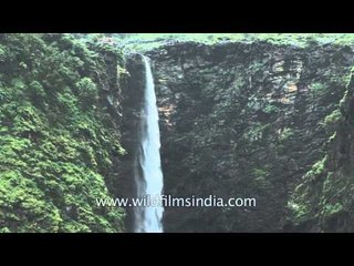 Jog falls of Karnataka, creates divine vision
