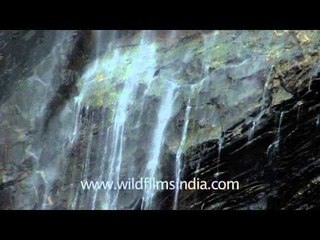Jog falls: Plunge waterfall of India