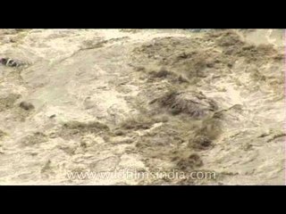 Monsoon fury in the Beas river