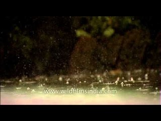 Hail stones falling in the Himalaya