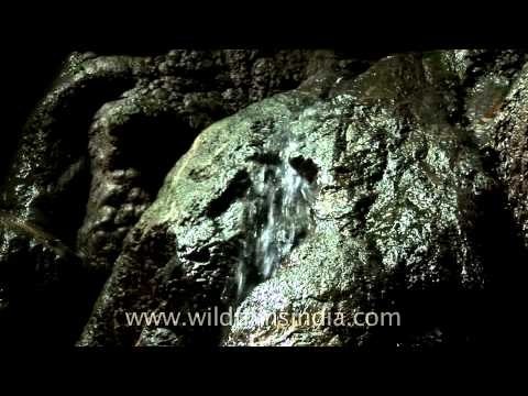 Be prepared to get drenched while caving at Mawsmai caves, Meghalaya