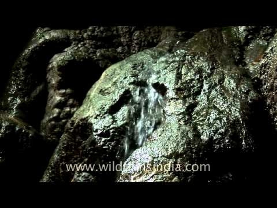 Be prepared to get drenched while caving at Mawsmai caves, Meghalaya