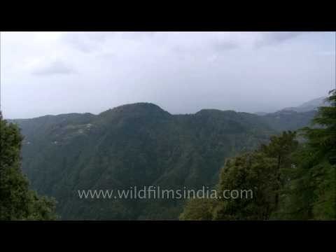 Pari Tibba as seen from Landour, with a flowering wild pear