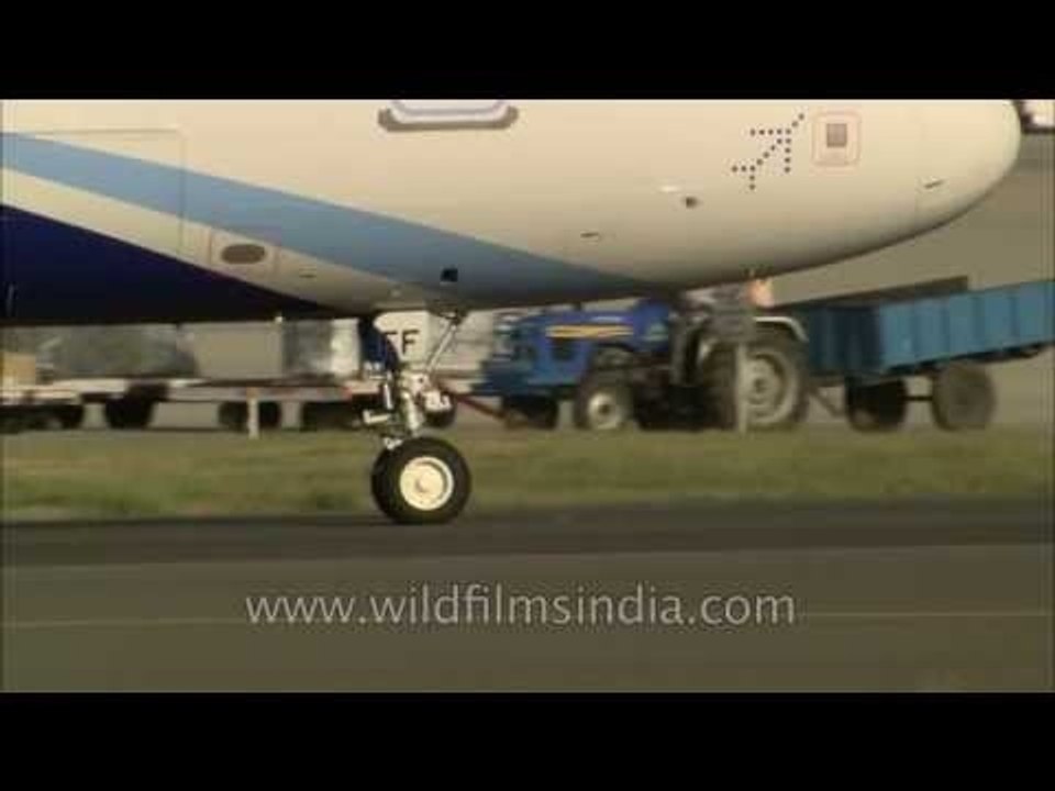 Indigo plane takes off while Air India Airbus berths and Jet takes off