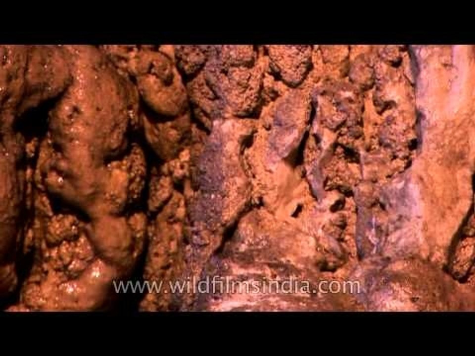 Nature's art - limestone formations inside Mawsmai Caves, Meghalaya