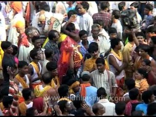 Download Video: Devotees chanting and dancing on Jagannath's rath yatra