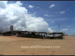 Beach hut near the shore of the sea