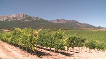 Stararchitektur und Wein: La Rioja lockt Luxustouristen