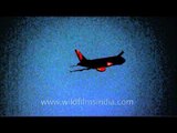 Taking off after dark from Delhi airport: archival footage of an Air India Boeing