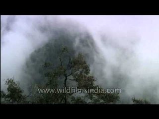 Mist rising in the mountains in Landour, Uttaranchal, North India.