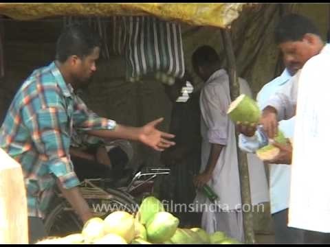 Customers quenching their thirst with coconut natural drink, Orissa