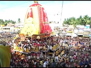 Life - risking pilgrimage in Puri : Huge crowds and 14 metre chariots!
