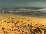 Building sand castles on the beaches of Thiruvananthapuram, Kerala
