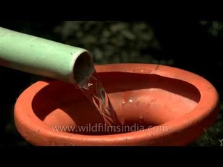 Women collecting water from public tap in Pangaon, Maharashtra