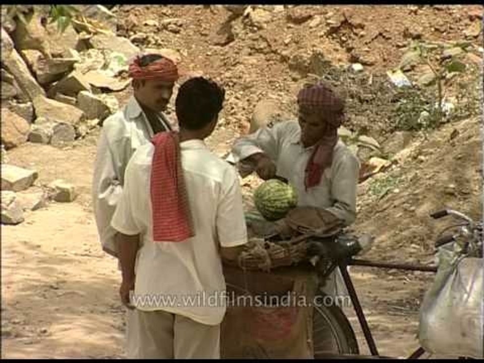 Labourers buying watermelon during hot summer season in Delhi video