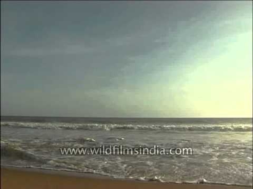Waves on the sandy beach of Trivandrum, Kerala