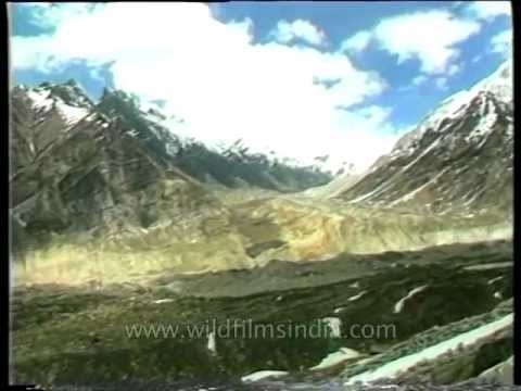 Gangotri - Yamunotri Yatra pilgrimage