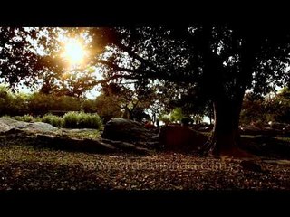 Time lapse - A day at Nehru Park in Delhi