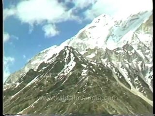 Tapovan, a glacial shelf at the foot of Mt. Shivling