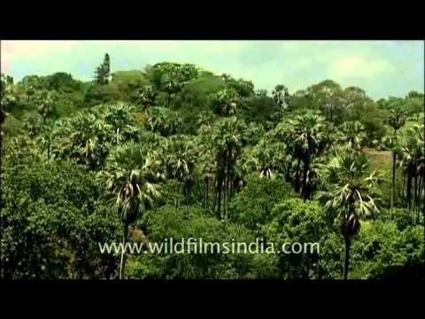Aerial view of Mumbai and it's outskirts