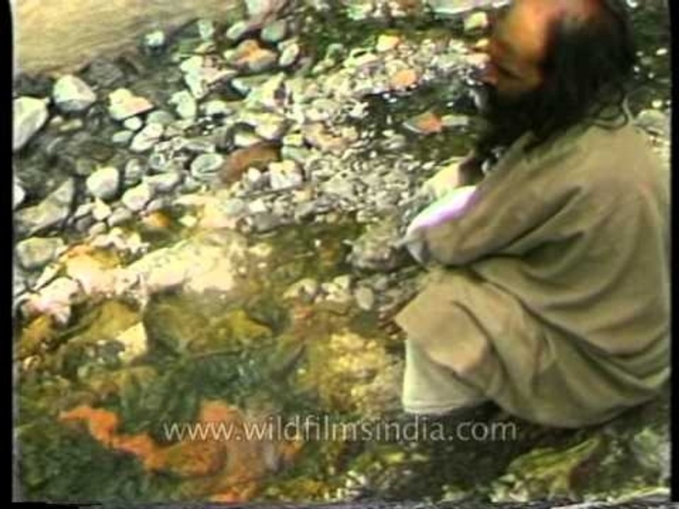 Holiest shrine in Hinduism - Yamuna