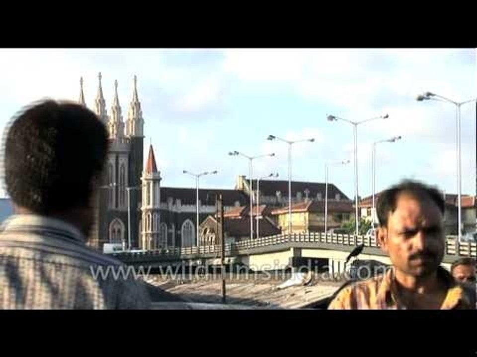 Woman selling brooms near Victoria Terminus, Mumbai