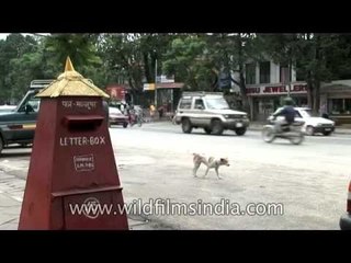 Nepal Post Letter-box on Kathmandu street