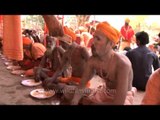 Donating cash to countless number of sadhus as they eat on at Bhandara pandal, Varanasi