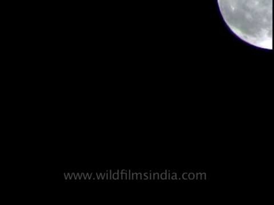 Moon in motion - time lapse