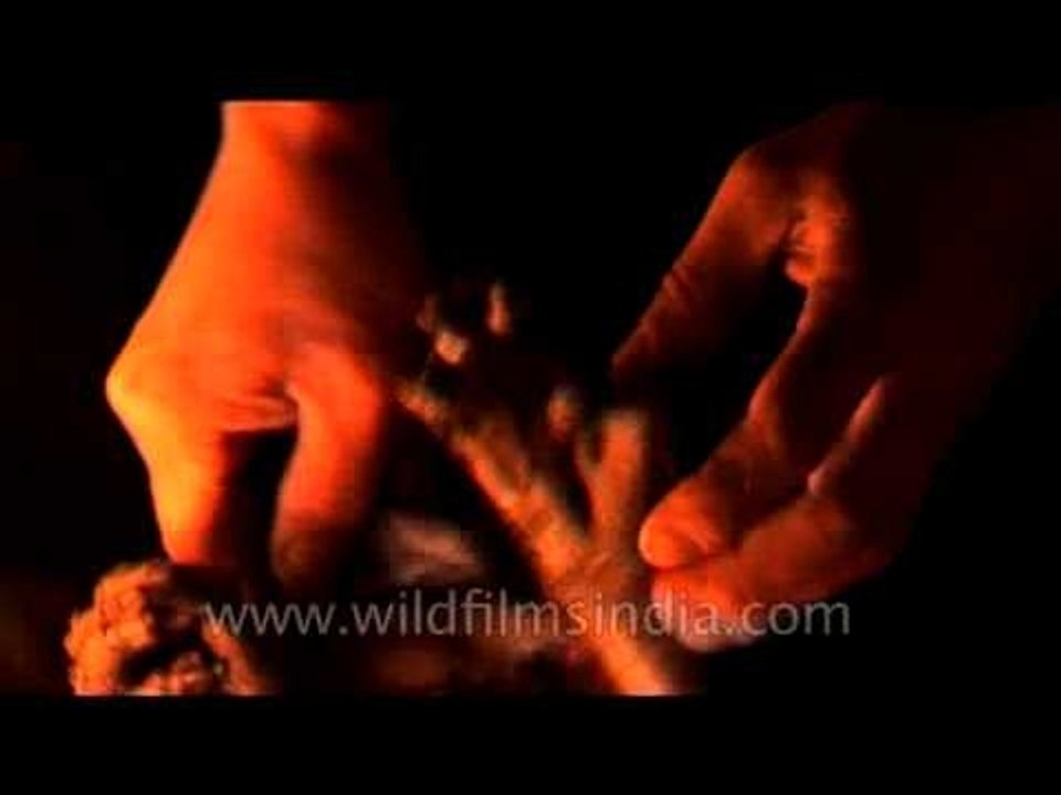 Macabre - roasting a full monkey on a fire