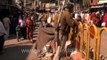 Beggars making makeshift tent at a traffic divider in Varanasi