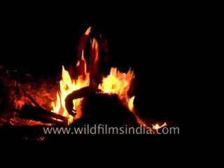 Roasting a monkey on an open fire