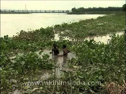 Mischievous kids smearing mud on their faces at Yamuna River, Delhi