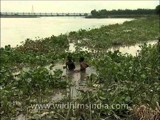 Mischievous kids smearing mud on their faces at Yamuna River, Delhi