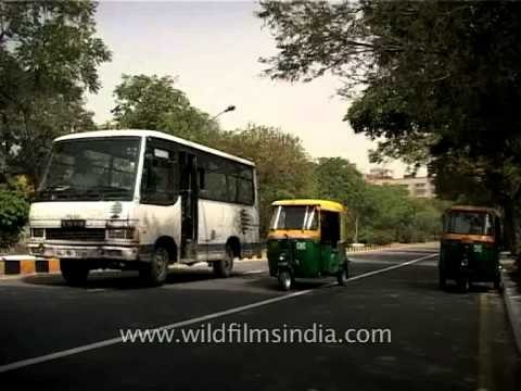 Eye cooling effect, sweet scent and shade all under a tree. Grove of Kusum trees