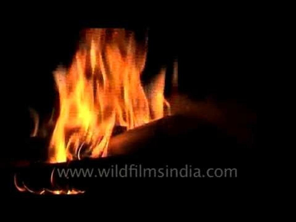 Spot the arm in the fire...