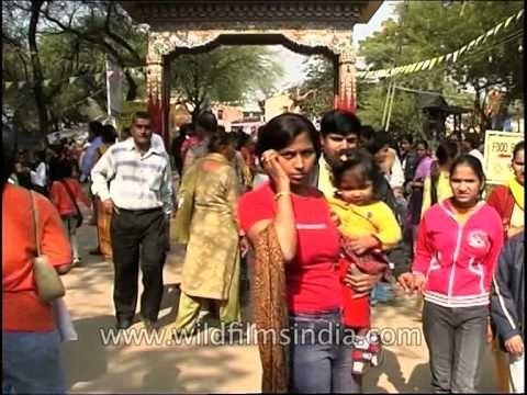Crowds gather to celebrate Surajkund Mela in Delhi